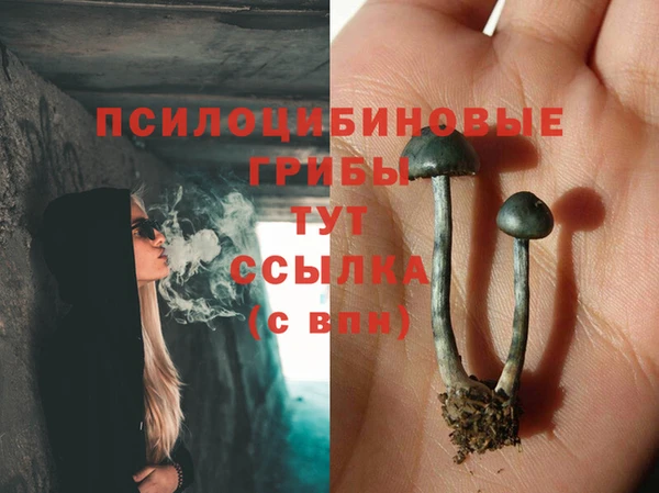 мдпв Абинск