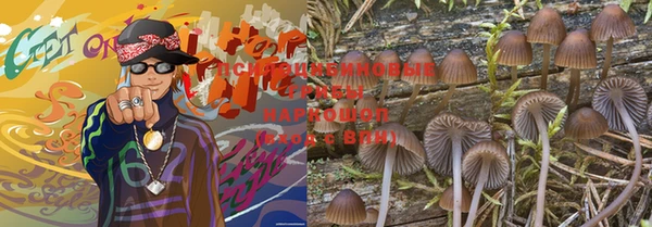 амф Алексин