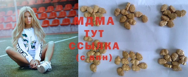 мдпв Абаза